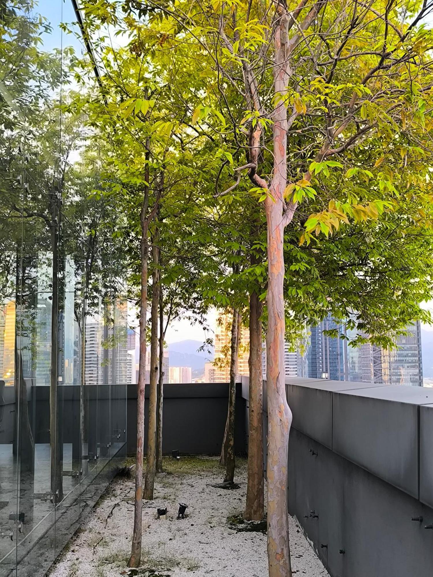 Dorsett Bukit Bintang By Pavilion Apartment Kuala Lumpur